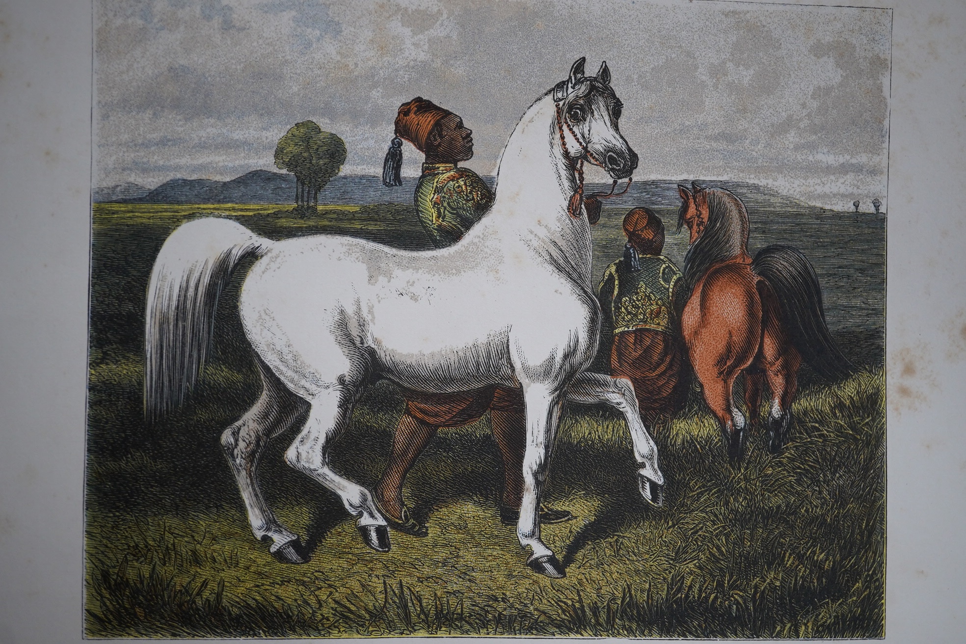 Upton, Roger D. - Newmarket and Arabia: an examination of the descent of racers and coursers. hand coloured frontis. and 4 folded tables; original gilt pictorial cloth, cr. 8vo. 1873